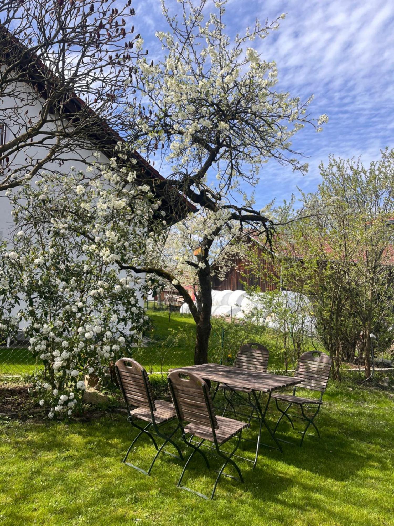 Zimmer Zum Wohlfuehlen Eching  外观 照片